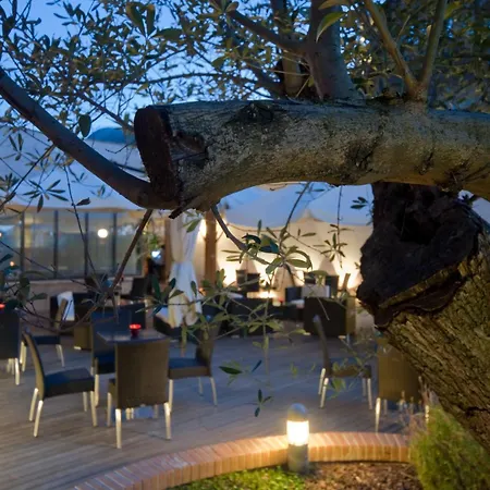 Hotel Aurelia Antica 4*